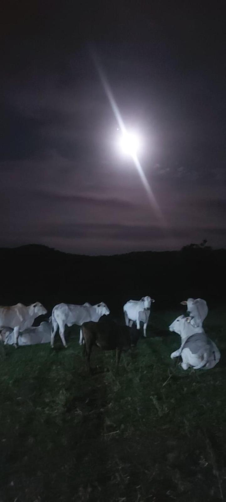 Restaurante E Pousada Chique Na Roça * Sao Luiz do Paraitinga