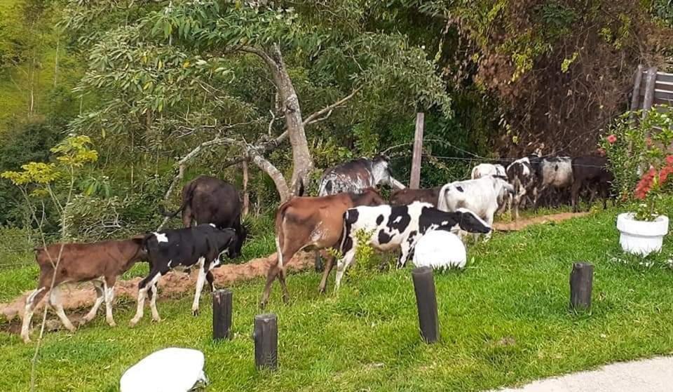 Estalagem Restaurante E Pousada Chique Na Roça