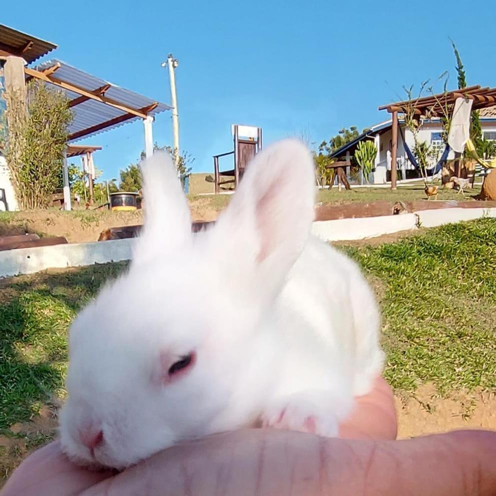 Restaurante E Pousada Chique Na Roça * Sao Luiz do Paraitinga