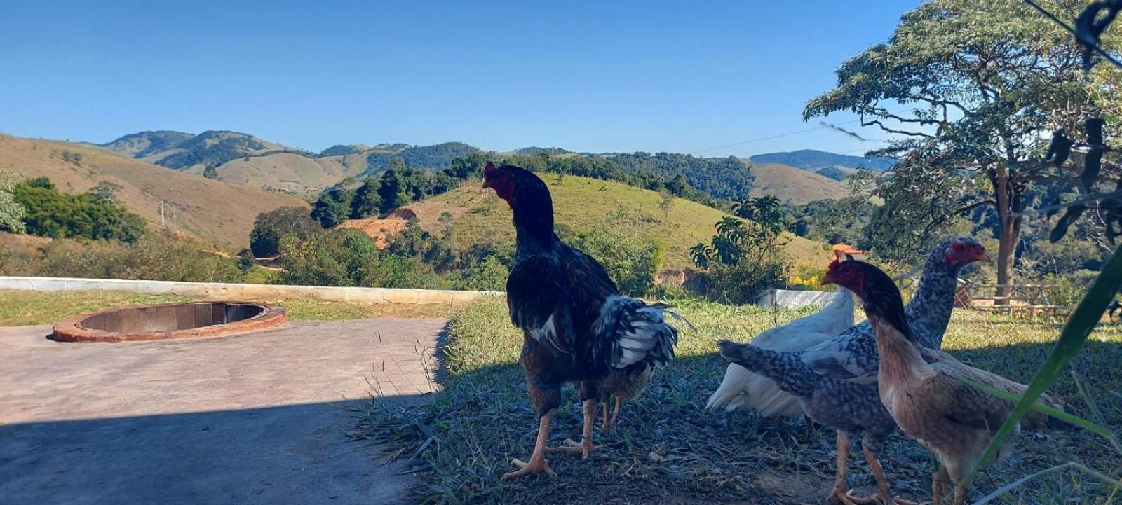 Restaurante E Pousada Chique Na Roça Estalagem *